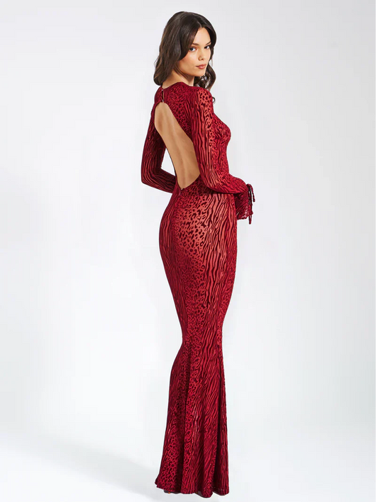 Lariza Elegant Gown