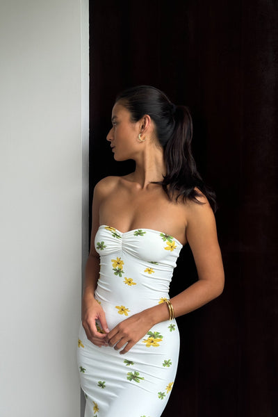 Auristella Maxi