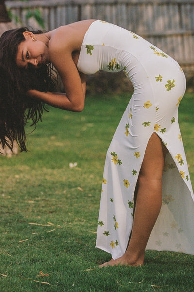 Auristella Maxi